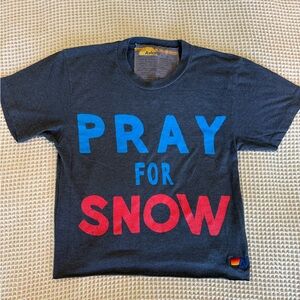 Aviator Nation Kids Tee - Gray with Blue and Red